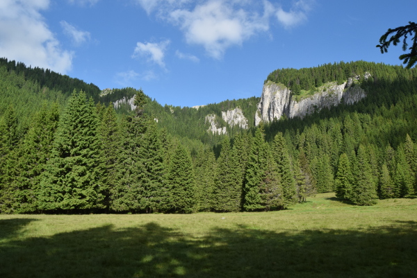 bucegi